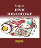 Ebook Atlas of fish histology: Part 2
