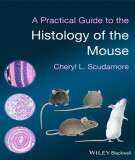 Ebook A practical guide to the histology of the mouse: Part 2