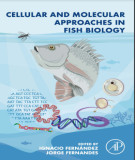 Ebook Cellular and molecular approaches in fish biology: Part 2
