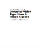 Ebook Handbook of computer vision algorithms in image algebra (2/E)