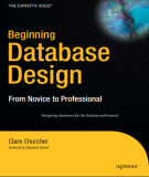 Ebook Database design - From novice to professional