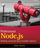 Ebook Professional Node.js