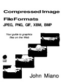 Ebook Compressed image file formats: JPEG, PNG, GIF, XBM, BMP (Your guide to graphics files on the Web)