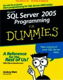 Ebook Microsoft SQL server programming for dummies
