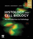 Ebook Histology and cell biology - An introduction to pathology (5th edition): Part 2