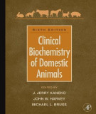 Ebook Clinical biochemistry of domestic animals (6th edition): Part 2