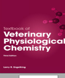 Ebook Textbook of veterinary physiological chemistry (3rd edition): Part 2
