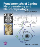 Ebook Fundamentals of canine neuroanatomy and neurophysiology: Part 1