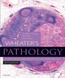 Ebook Wheater's pathology, a text, atlas and review of histopathology (6th edition): Part 1