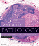 Ebook Pathology, a text, atlas and review of histopathology (6th edition): Part 1