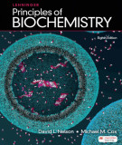 Ebook Principles of biochemistry (8th edition): Part 2