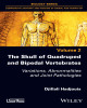 Ebook The skull of quadruped and bipedal vertebrates, variations, abnormalities and joint pathologies (Vol 1): Part 2
