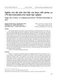 Nghiên cứu độc tính đơn liều của dược chất phóng xạ [18F]-fluorothymidin trên chuột thực nghiệm