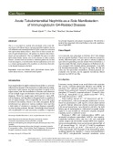 Acute tubulointerstitial nephritis as a sole manifestation of immunoglobulin G4-related disease