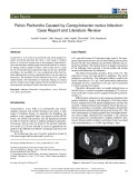 Pelvic peritonitis caused by Campylobacter rectus infection: Case report and literature review
