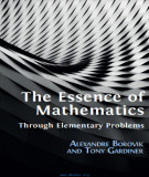 Ebook The essence of mathematics: Through elementary problems - Part 1