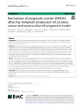 Mechanism of prognostic marker SPOCK3 affecting malignant progression of prostate cancer and construction of prognostic model
