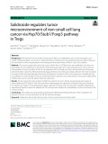 Salidroside regulates tumor microenvironment of non-small cell lung cancer via Hsp70/Stub1/Foxp3 pathway in Tregs