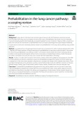 Prehabilitation in the lung cancer pathway: A scoping review