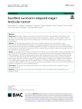 Excellent survival in relapsed stage I testicular cancer