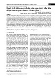 Hoạt tính kháng oxy hóa của cao chiết cây Mía dò (Costus specciosus (Koen.) Sm.)