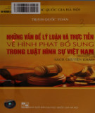 Hình phạt bổ sung trong luật hình sự Việt Nam - Những vấn đề lý luận và thực tiễn: Phần 1