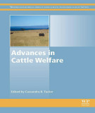 Ebook Advances in cattle welfare: Part 2