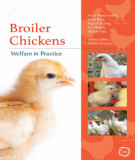 Ebook Broiler chickens welfare in practice: Part 1