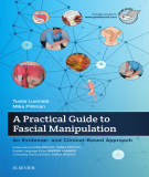 Ebook A practical guide to fascial manipulation: Part 2