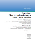 Ebook Cardiac electrophysiology, from cell to bedside (6/E): Part 1