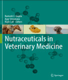 Ebook Mutraceuticals in veterinary medicine: Part 1