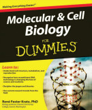 Ebook Molecular and cell biology for dummies: Part 1