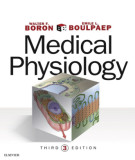 Ebook Medical physiology (3/E): Part 2