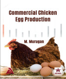 Ebook Commercial chicken egg production: Part 1