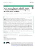 Tumor necrosis factor-α-inducible protein 8-like protein 3 (TIPE3): A novel prognostic factor in colorectal cancer