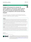 Analysis of connexin 43, connexin 45 and N-cadherin in the human sertoli cell line FS1 and the human seminoma-like cell line TCam-2 in comparison with human testicular biopsies