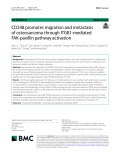 CD248 promotes migration and metastasis of osteosarcoma through ITGB1-mediated FAK-paxillin pathway activation