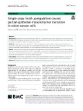 Single-copy Snail upregulation causes partial epithelial-mesenchymal transition in colon cancer cells