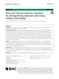 Spectral CT-based radiomics signature for distinguishing malignant pulmonary nodules from benign