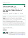Tumor-infiltrating CD36+CD8+T cells determine exhausted tumor microenvironment and correlate with inferior response to chemotherapy in non-small cell lung cancer