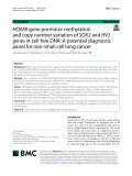 HOXA9 gene promotor methylation and copy number variation of SOX2 and HV2 genes in cell free DNA: A potential diagnostic panel for non‑small cell lung cancer