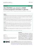 HELLPAR/RRM2 axis related to HMMR as novel prognostic biomarker in gliomas