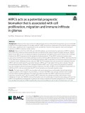 ARPC5 acts as a potential prognostic biomarker that is associated with cell proliferation, migration and immune infiltrate in gliomas