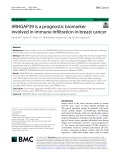 ARHGAP39 is a prognostic biomarker involved in immune infiltration in breast cancer