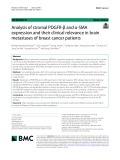 Analysis of stromal PDGFR-β and α-SMA expression and their clinical relevance in brain metastases of breast cancer patients