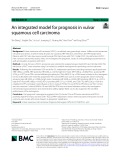 An integrated model for prognosis in vulvar squamous cell carcinoma