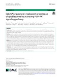 SLC25A32 promotes malignant progression of glioblastoma by activating PI3K-AKT signaling pathway
