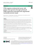 PTEN-negative endometrial cancer cells protect their genome through enhanced DDB2 expression associated with augmented nucleotide excision repair