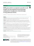 MMR gene patterns evaluation provides novel insights for personalized immunotherapy compared to neoadjuvant chemotherapy in lung adenocarcinama