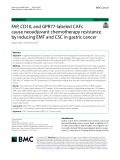 FAP, CD10, and GPR77-labeled CAFs cause neoadjuvant chemotherapy resistance by inducing EMT and CSC in gastric cancer